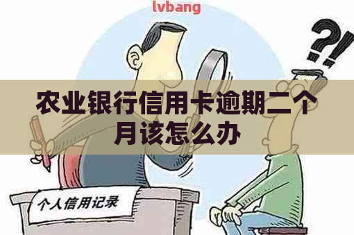 农业银行信用卡逾期二个月该怎么办