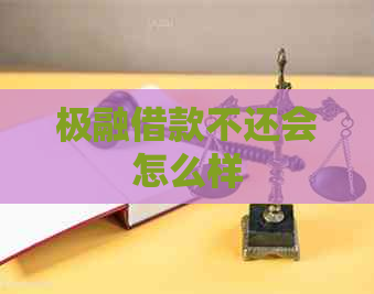 极融借款不还会怎么样