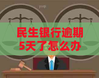 民生银行逾期5天了怎么办理还款