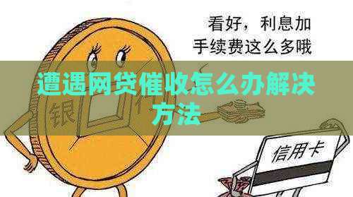 遭遇网贷怎么办解决方法