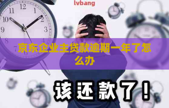 京东企业主贷款逾期一年了怎么办