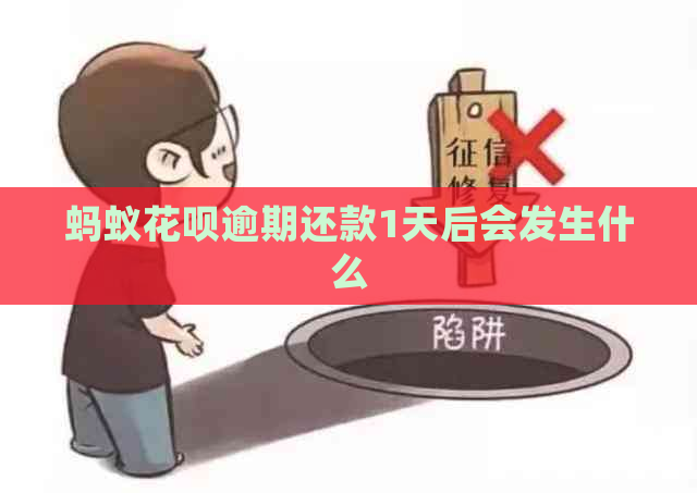 蚂蚁花呗逾期还款1天后会发生什么