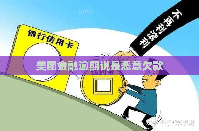 美团金融逾期说是恶意欠款