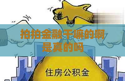 拍拍金融干嘛的啊是真的吗