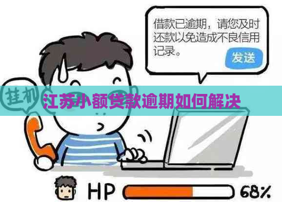 江苏小额贷款逾期如何解决