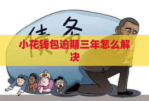 小花钱包逾期三年怎么解决