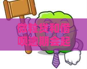 微粒贷和借呗逾期会起诉吗怎么办