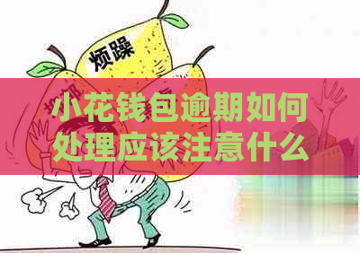 小花钱包逾期如何处理应该注意什么