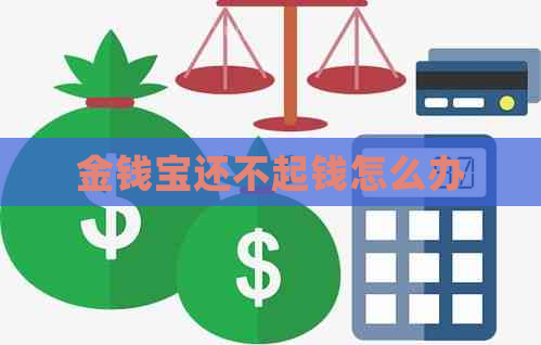 金钱宝还不起钱怎么办