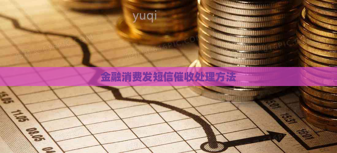 金融消费发短信处理方法