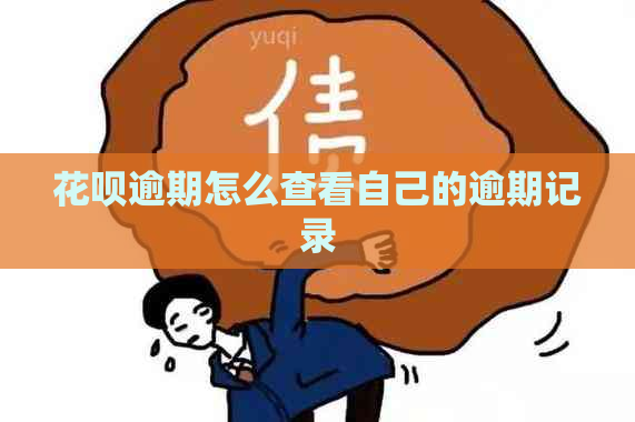 花呗逾期怎么查看自己的逾期记录