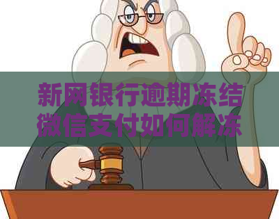 新网银行逾期冻结微信支付如何解冻