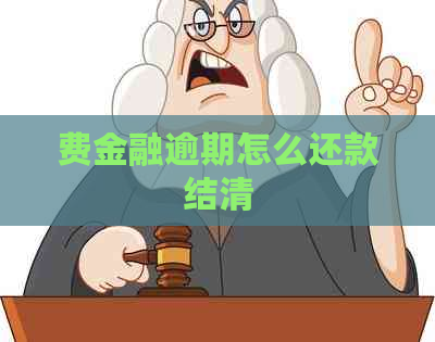 费金融逾期怎么还款结清