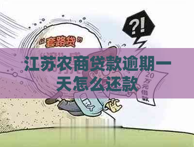 江苏农商贷款逾期一天怎么还款