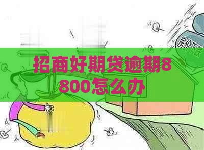 招商好期贷逾期8800怎么办