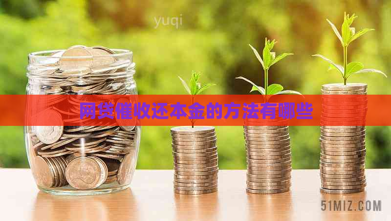 网贷还本金的方法有哪些