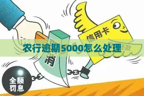 农行逾期5000怎么处理