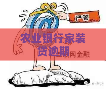 农业银行家装贷逾期