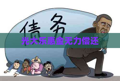 光大乐惠金无力偿还