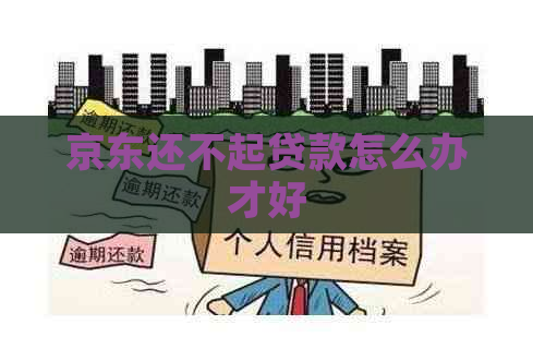 京东还不起贷款怎么办才好