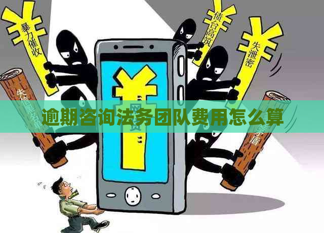 逾期咨询法务团队费用怎么算