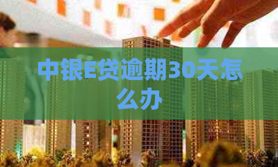 中银E贷逾期30天怎么办