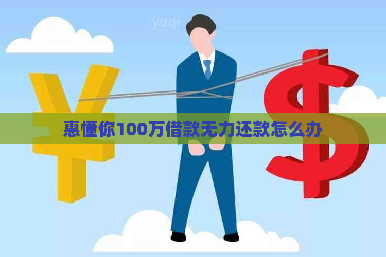 惠懂你100万借款无力还款怎么办