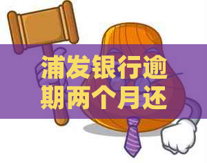 浦发银行逾期两个月还款方法及注意事项