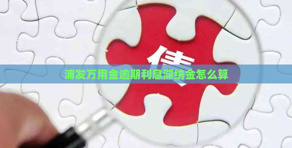 浦发万用金逾期利息滞纳金怎么算