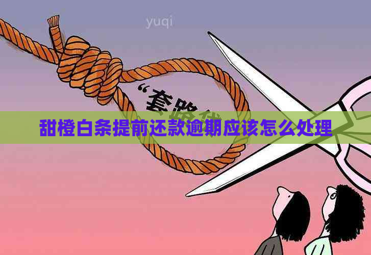 甜橙白条提前还款逾期应该怎么处理