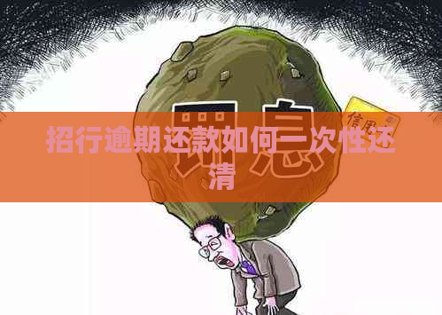 招行逾期还款如何一次性还清