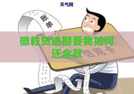 微粒贷逾期要我如何还全款