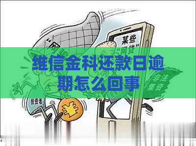 维信金科还款日逾期怎么回事