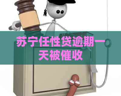 苏宁任性贷逾期一天被