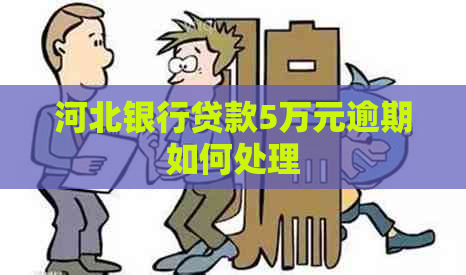 河北银行贷款5万元逾期如何处理