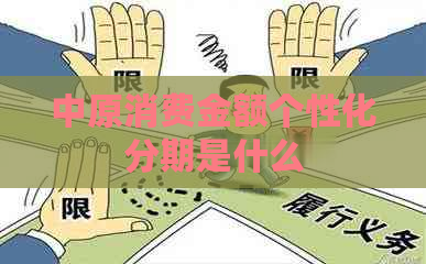 中原消费金额个性化分期是什么