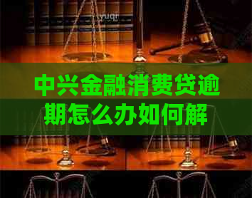 中兴金融消费贷逾期怎么办如何解决