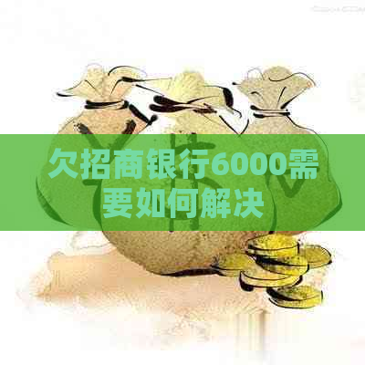 欠招商银行6000需要如何解决