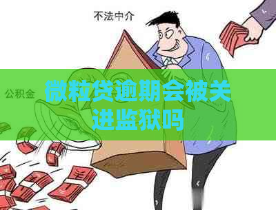 微粒贷逾期会被关进监狱吗