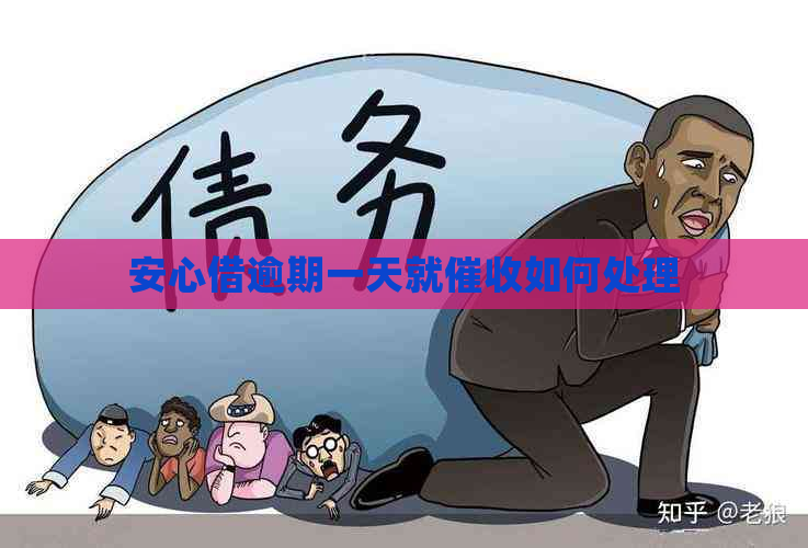 安心借逾期一天就如何处理