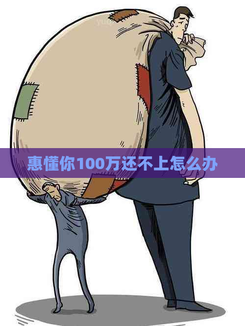 惠懂你100万还不上怎么办