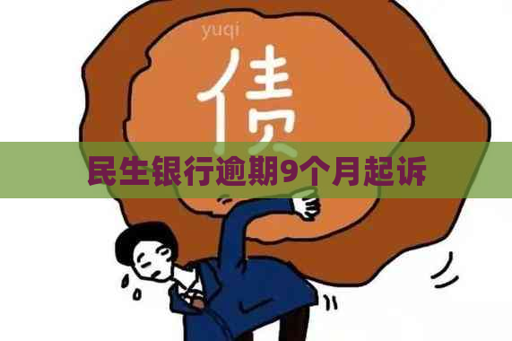 民生银行逾期9个月起诉