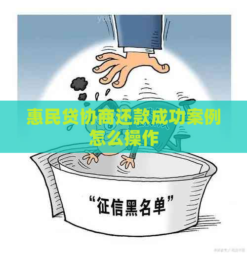 惠民贷协商还款成功案例怎么操作