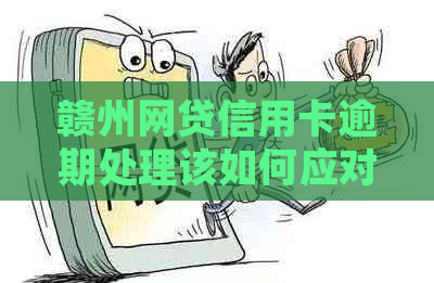 赣州网贷信用卡逾期处理该如何应对