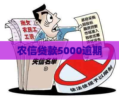 农信贷款5000逾期