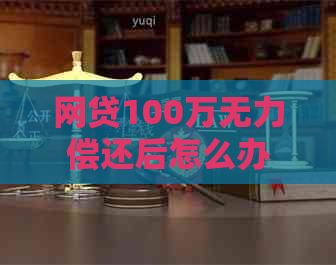 网贷100万无力偿还后怎么办