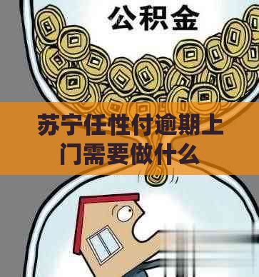 苏宁任性付逾期上门需要做什么