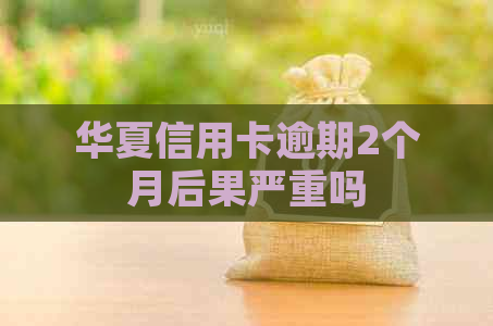 华夏信用卡逾期2个月后果严重吗