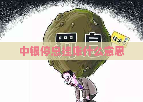 中银停息挂账什么意思