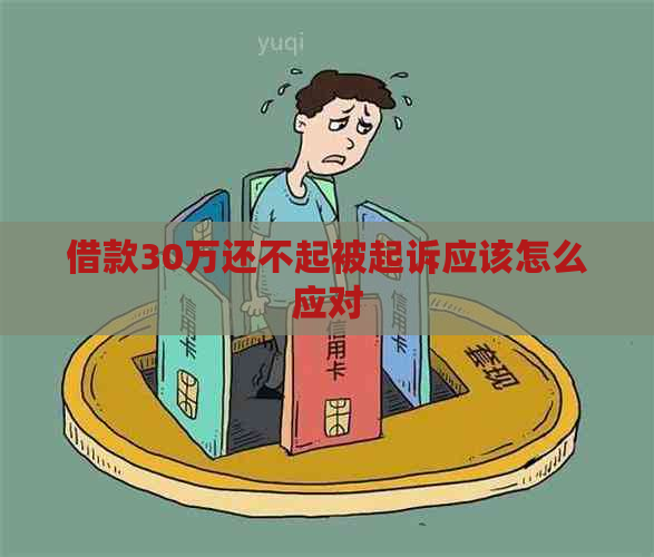 借款30万还不起被起诉应该怎么应对